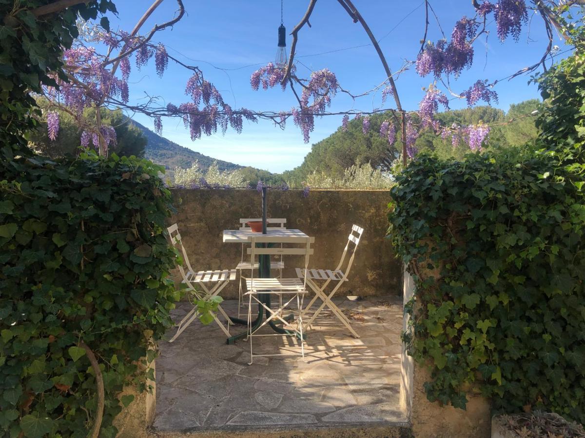 Отель La Picholine En Provence Ньон Экстерьер фото