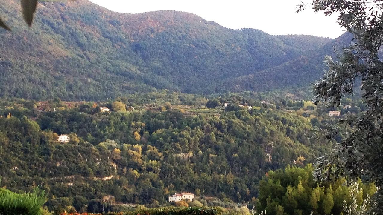 Отель La Picholine En Provence Ньон Экстерьер фото