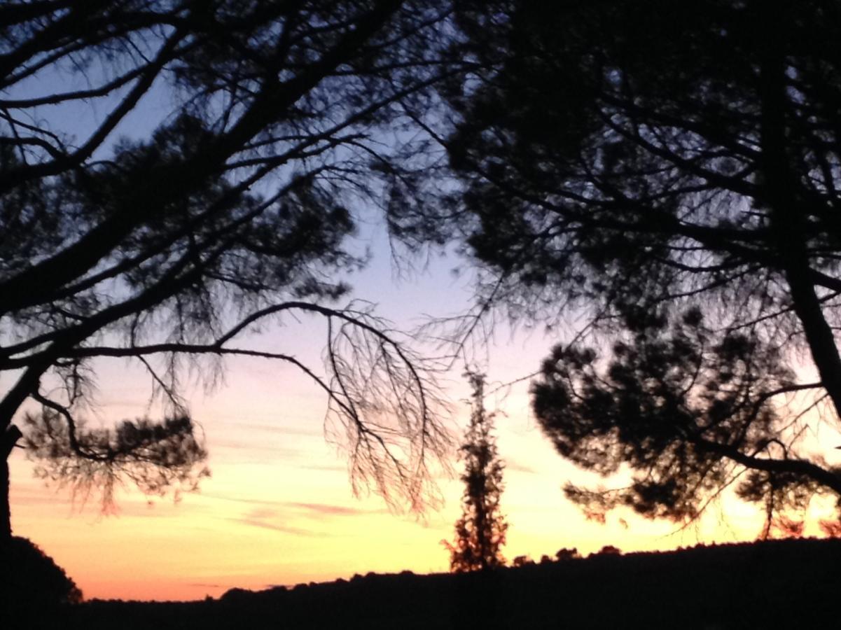 Отель La Picholine En Provence Ньон Экстерьер фото